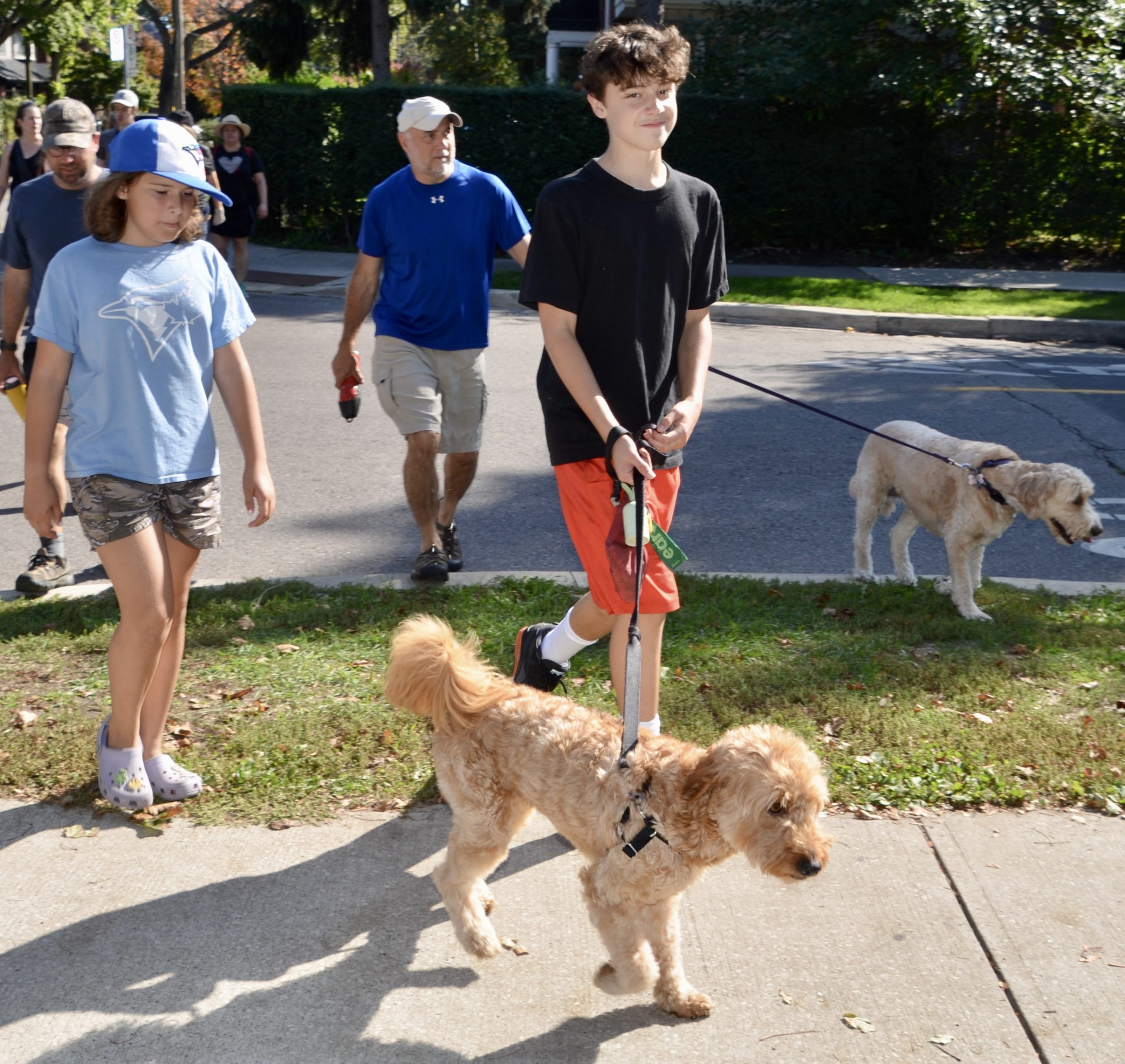 2025Walk2